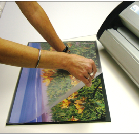 film sheets