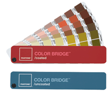 bridgeset.bmp