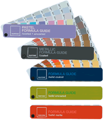 solidbundle.bmp